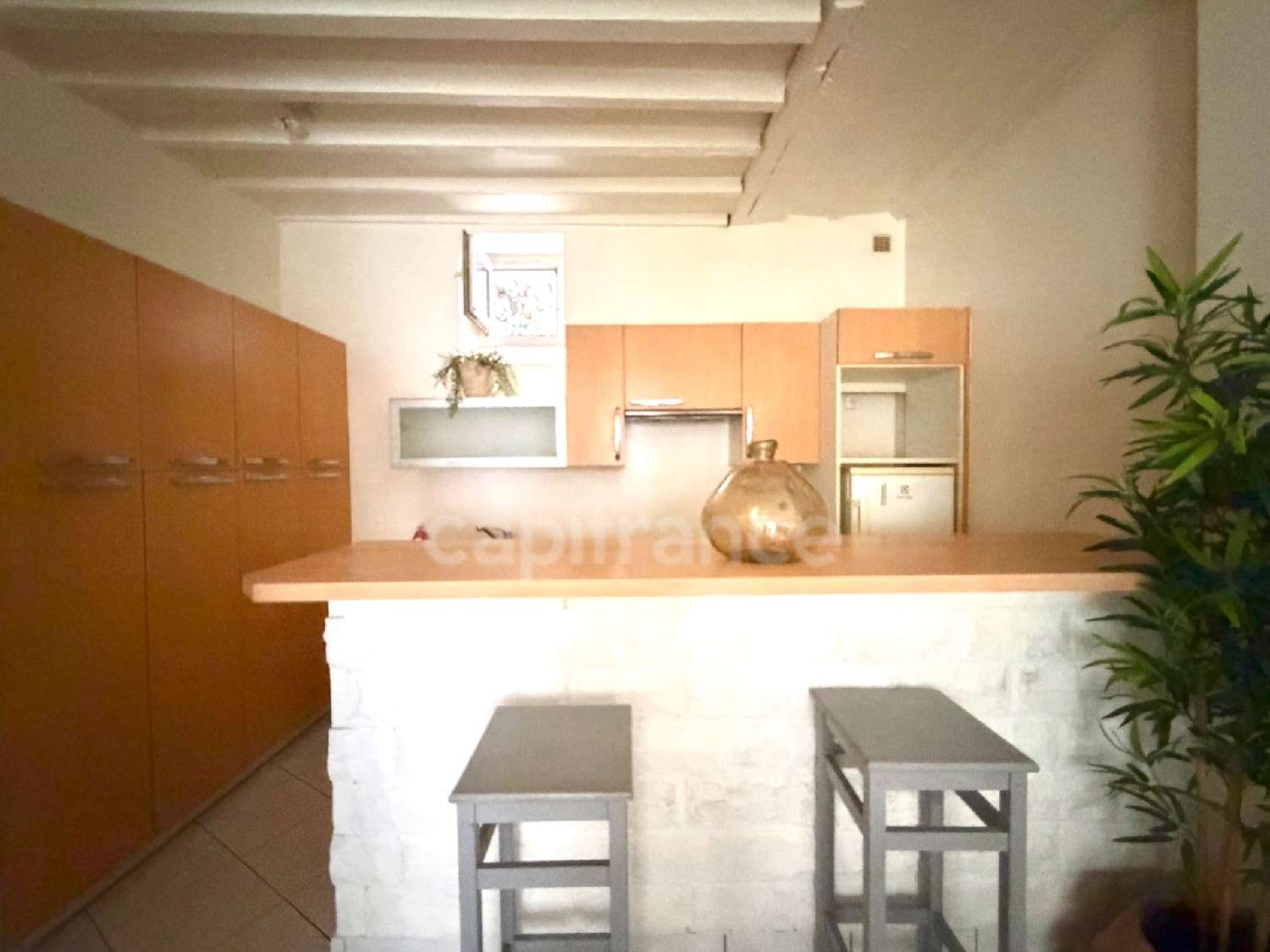  à vendre appartement Paris 15e Arrondissement Paris (Seine) 4