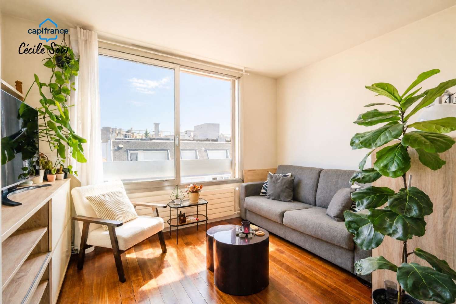 à vendre appartement Paris 18e Arrondissement Paris (Seine) 4