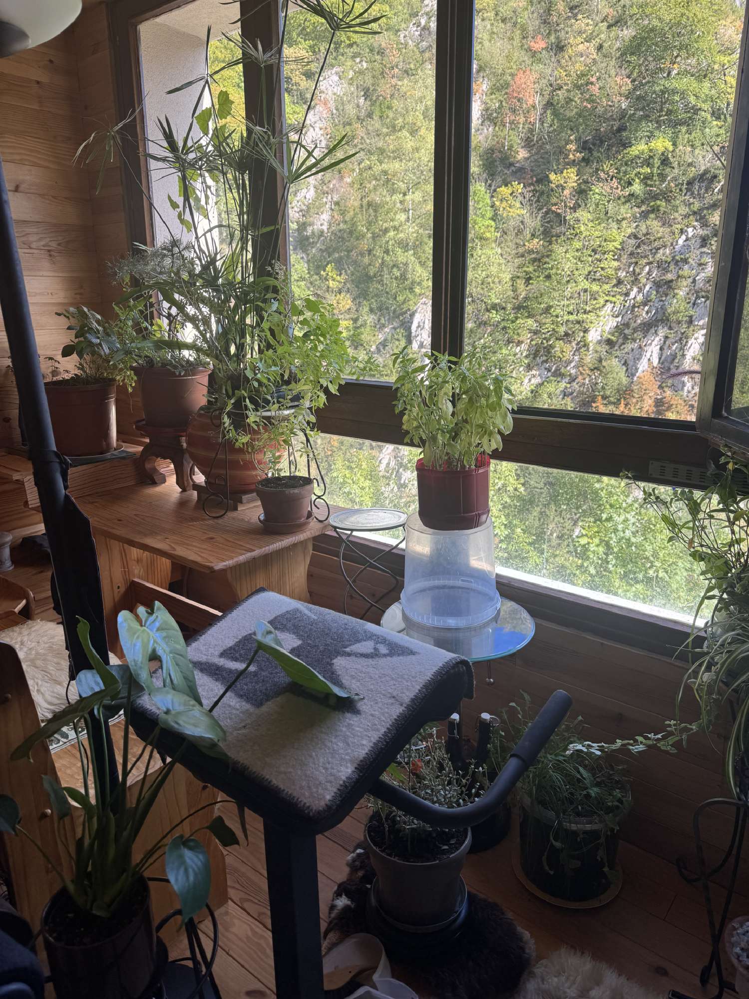 te koop appartement Prats-de-Mollo-la-Preste Pyrénées-Orientales 4