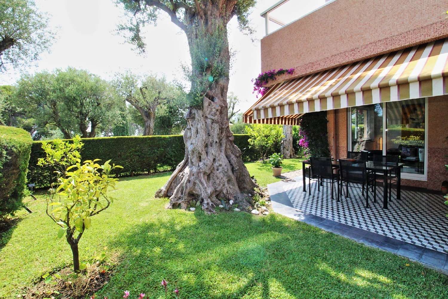  à vendre appartement Roquebrune-Cap-Martin Alpes-Maritimes 3