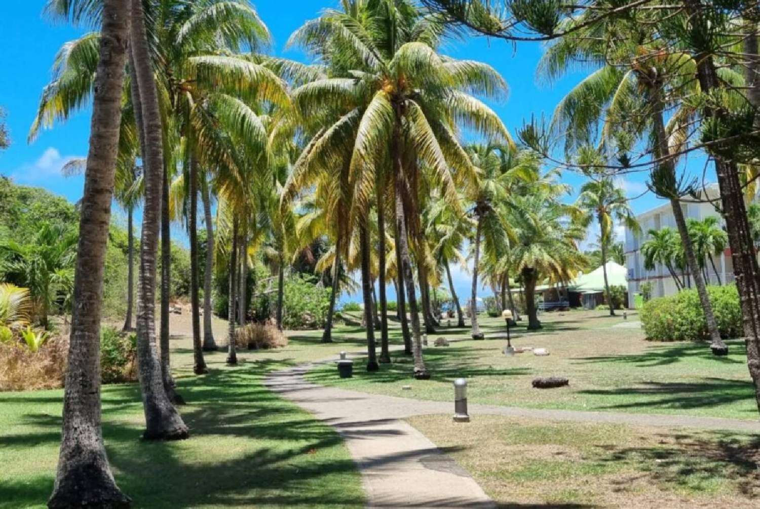 en venta apartamento Saint-François Guadeloupe 3
