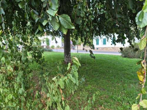 Saint-Germain-en-Laye Yvelines Wohnung/ Apartment Bild 7418823