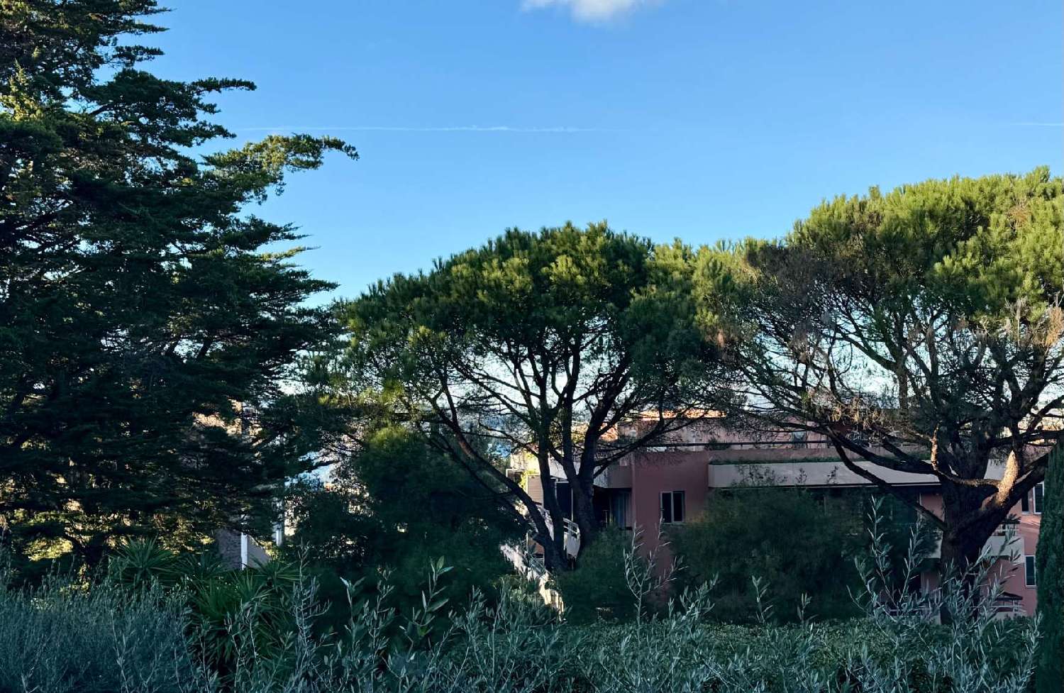 kaufen Wohnung/ Apartment Saint-Tropez Var 3