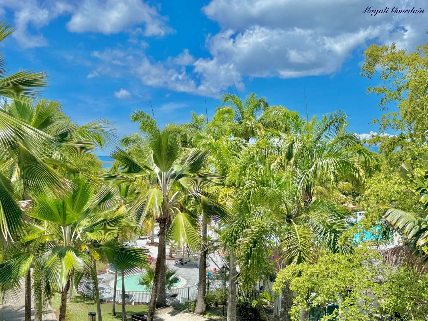 kaufen Wohnung/ Apartment Sainte-Anne Guadeloupe 5