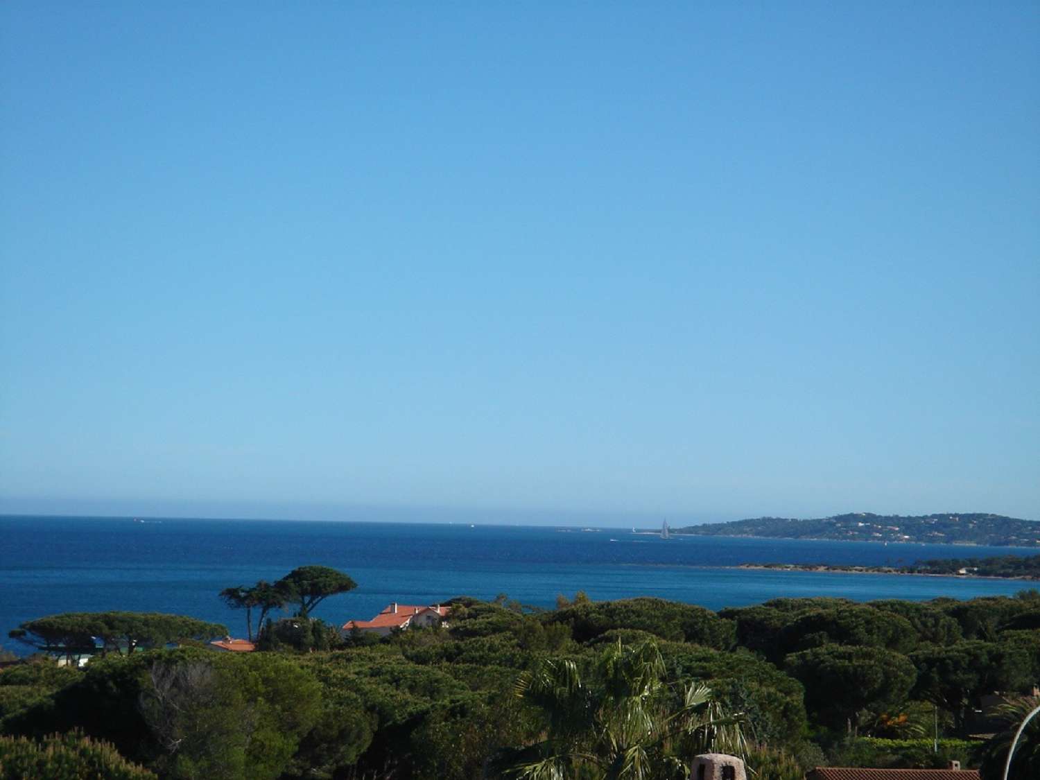 te koop appartement Sainte-Maxime Var 1