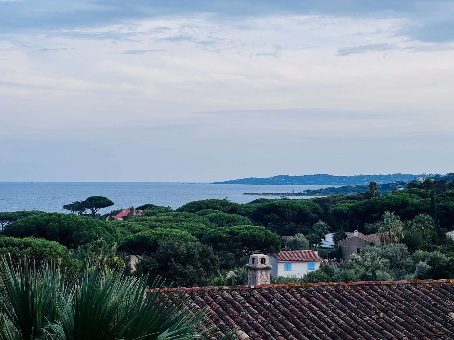 te koop appartement Sainte-Maxime Var 3