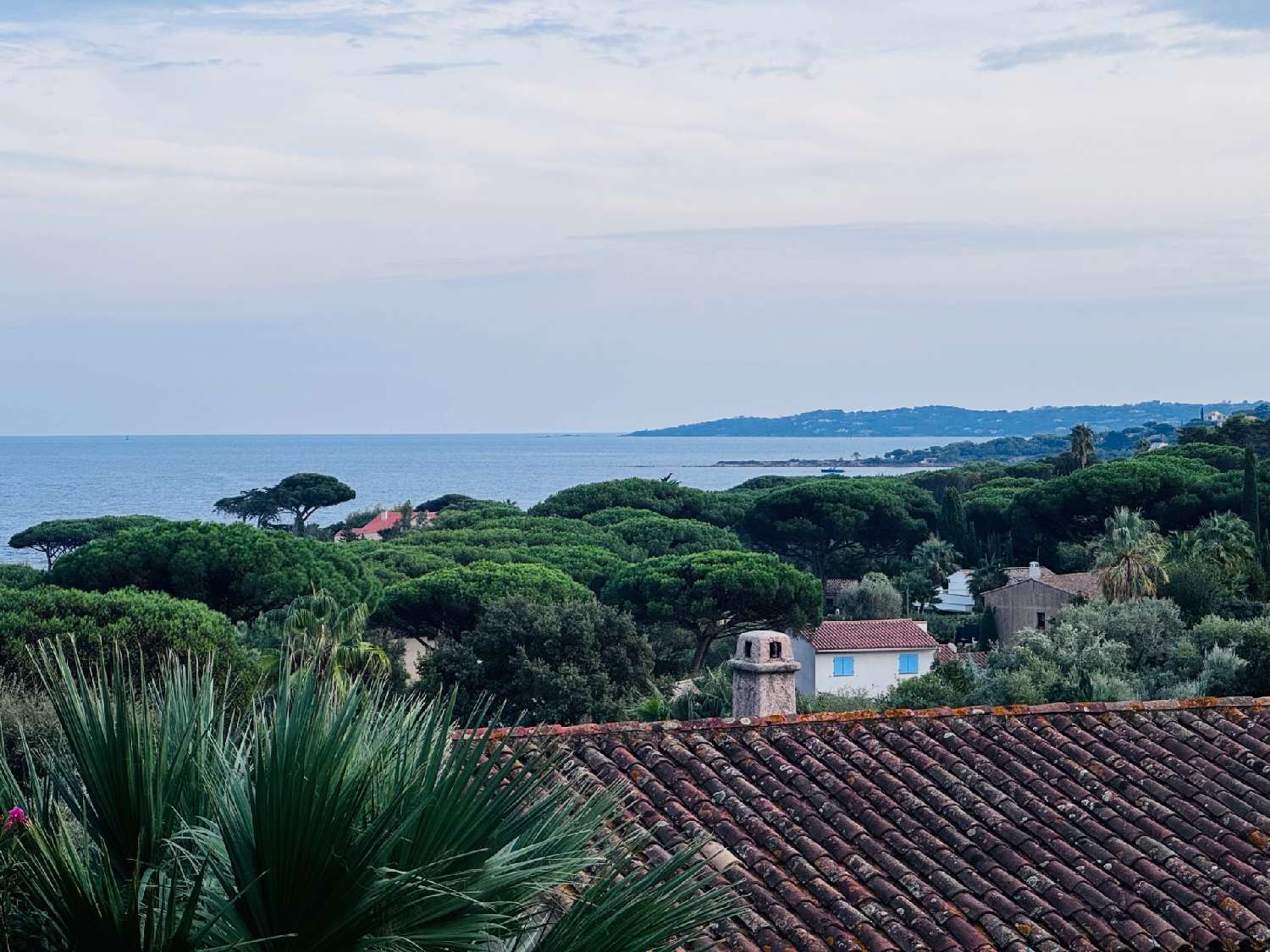 te koop appartement Sainte-Maxime Var 6