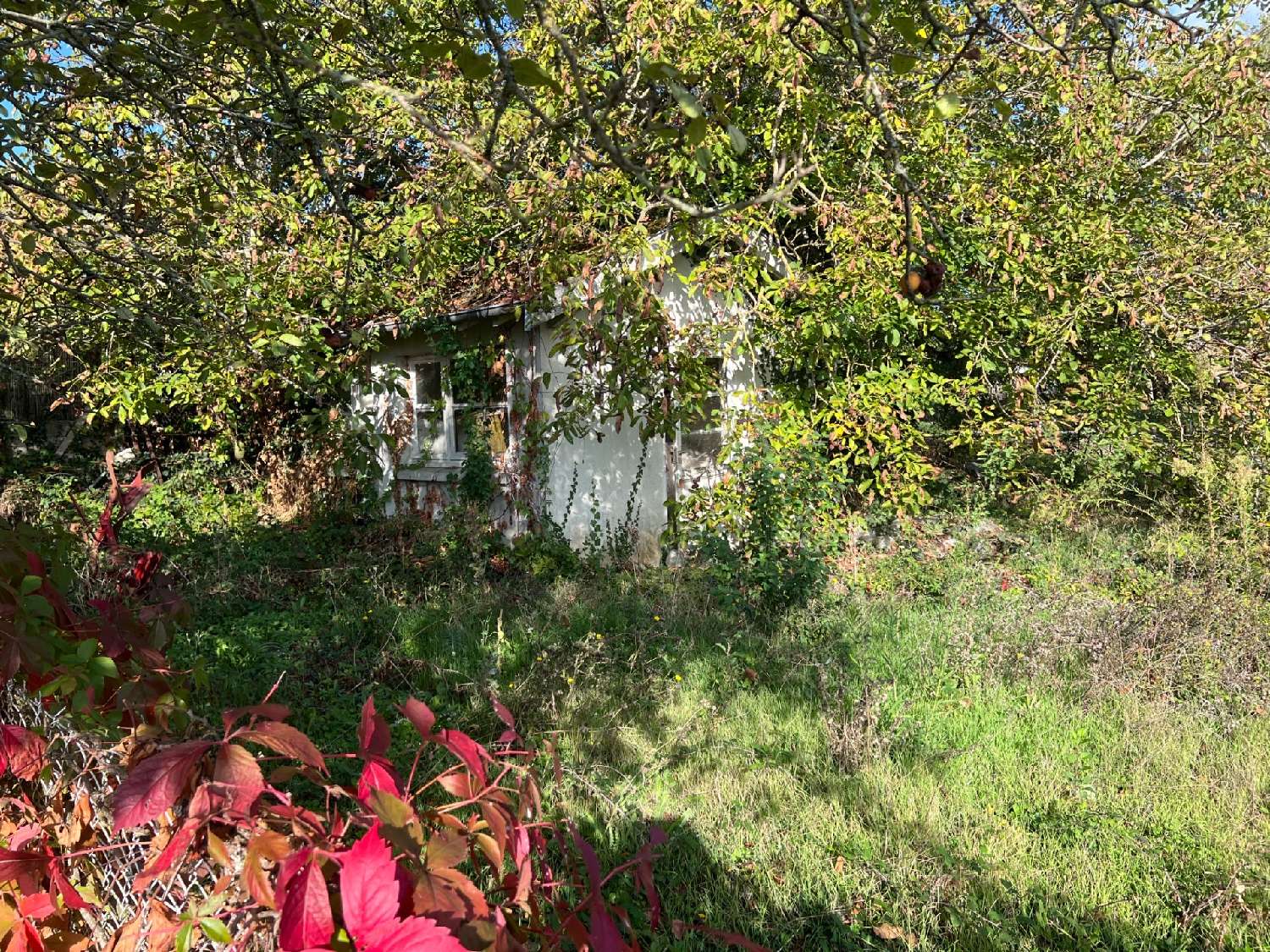 for sale apartment Saintes Charente-Maritime 5