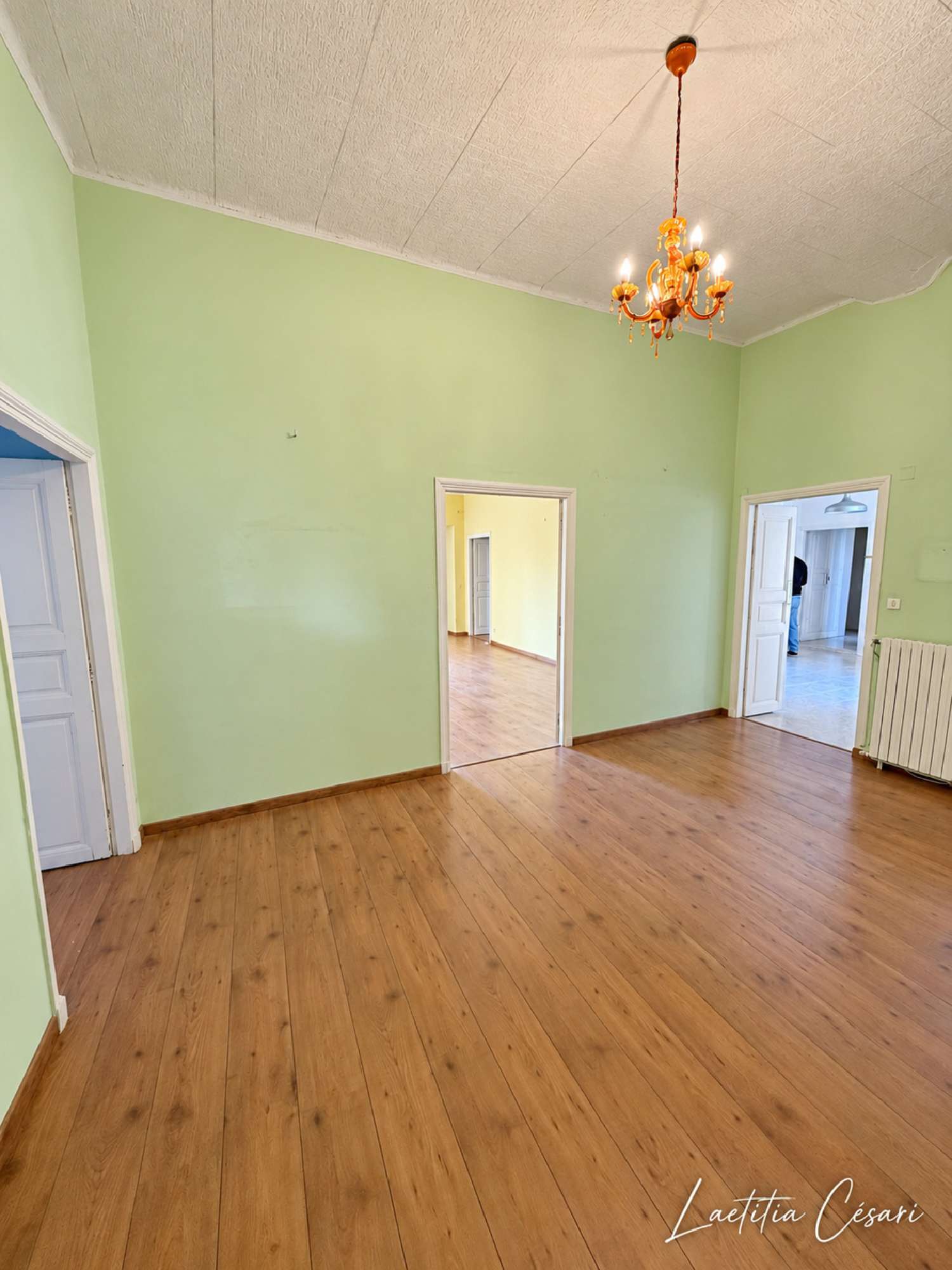  kaufen Wohnung/ Apartment Santa-Maria-di-Lota Haute-Corse 4