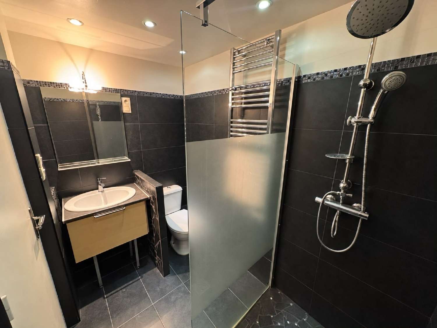 te koop appartement Terrenoire Loire 5