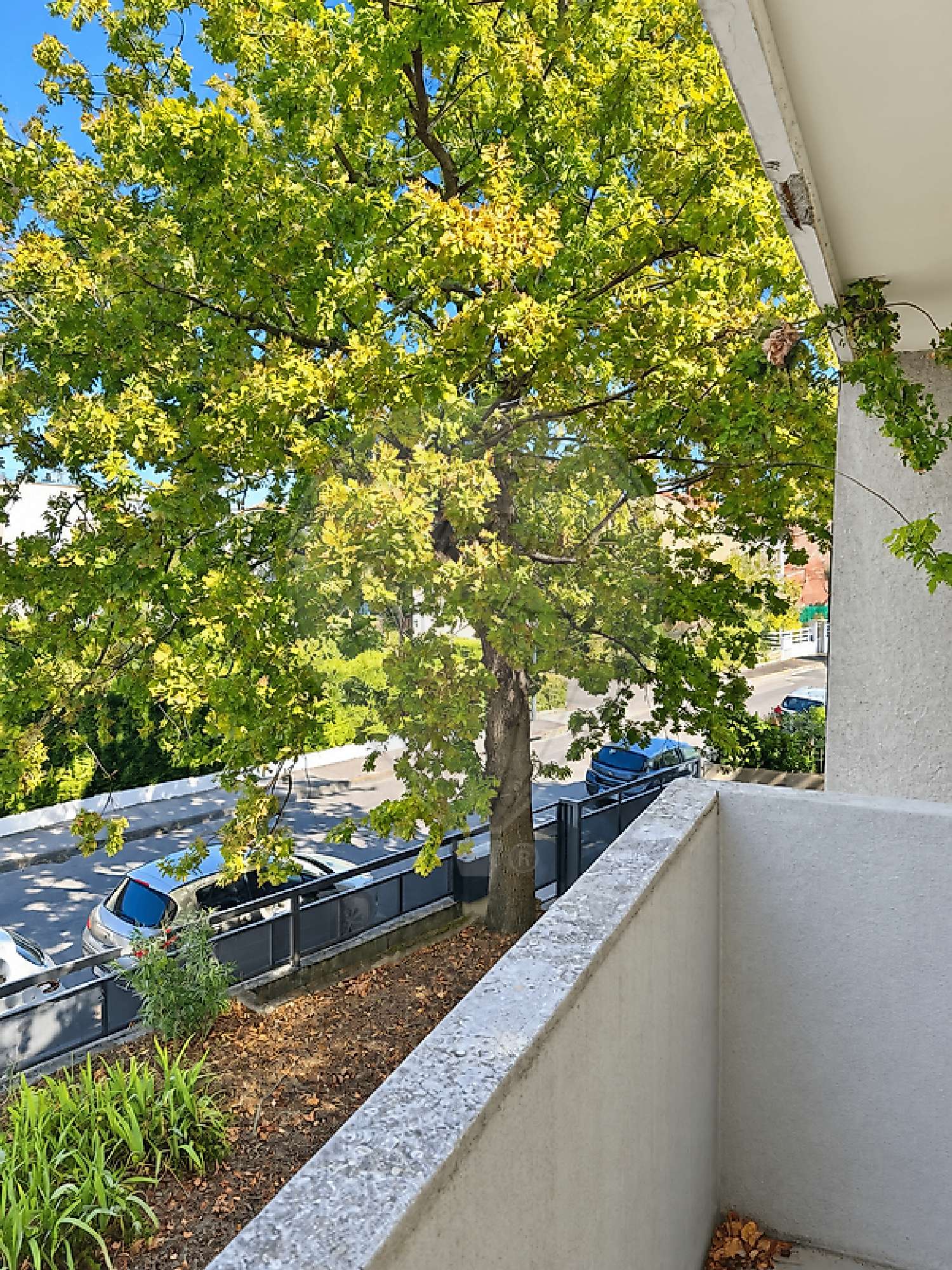à vendre appartement Toulouse 31200 Haute-Garonne 1