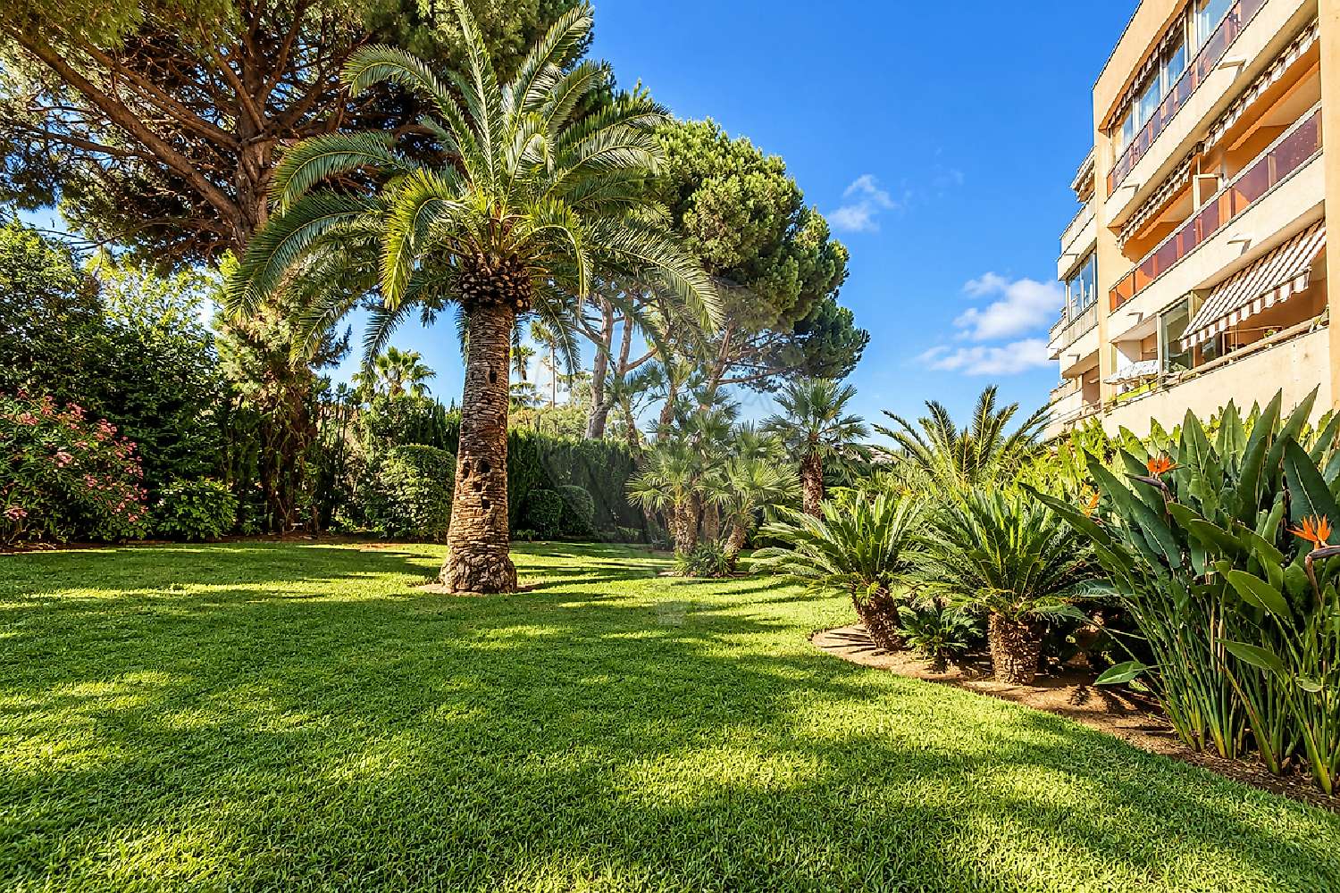 en venta apartamento Vallauris Alpes-Maritimes 8