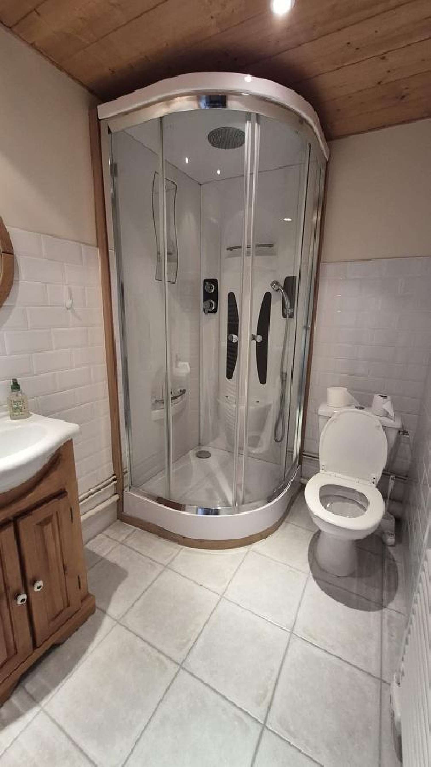 kaufen Wohnung/ Apartment Vaujany Isère 5