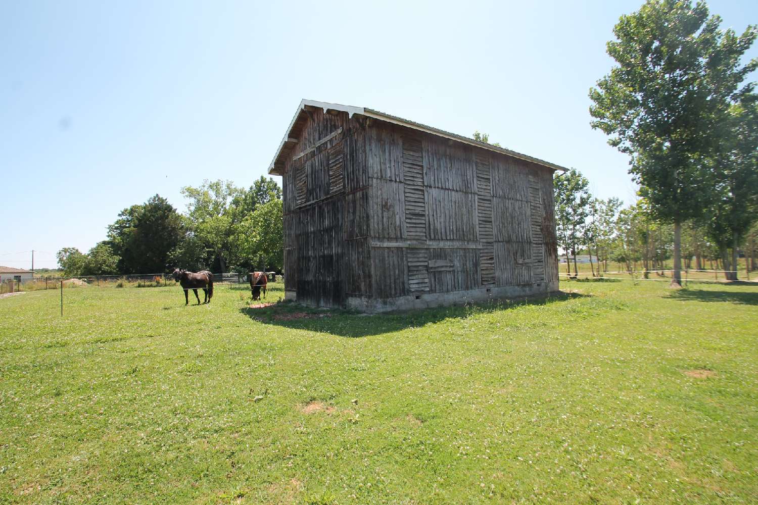 à vendre grange Casteljaloux Lot-et-Garonne 2