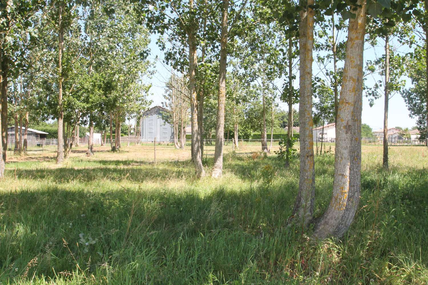 à vendre grange Casteljaloux Lot-et-Garonne 5