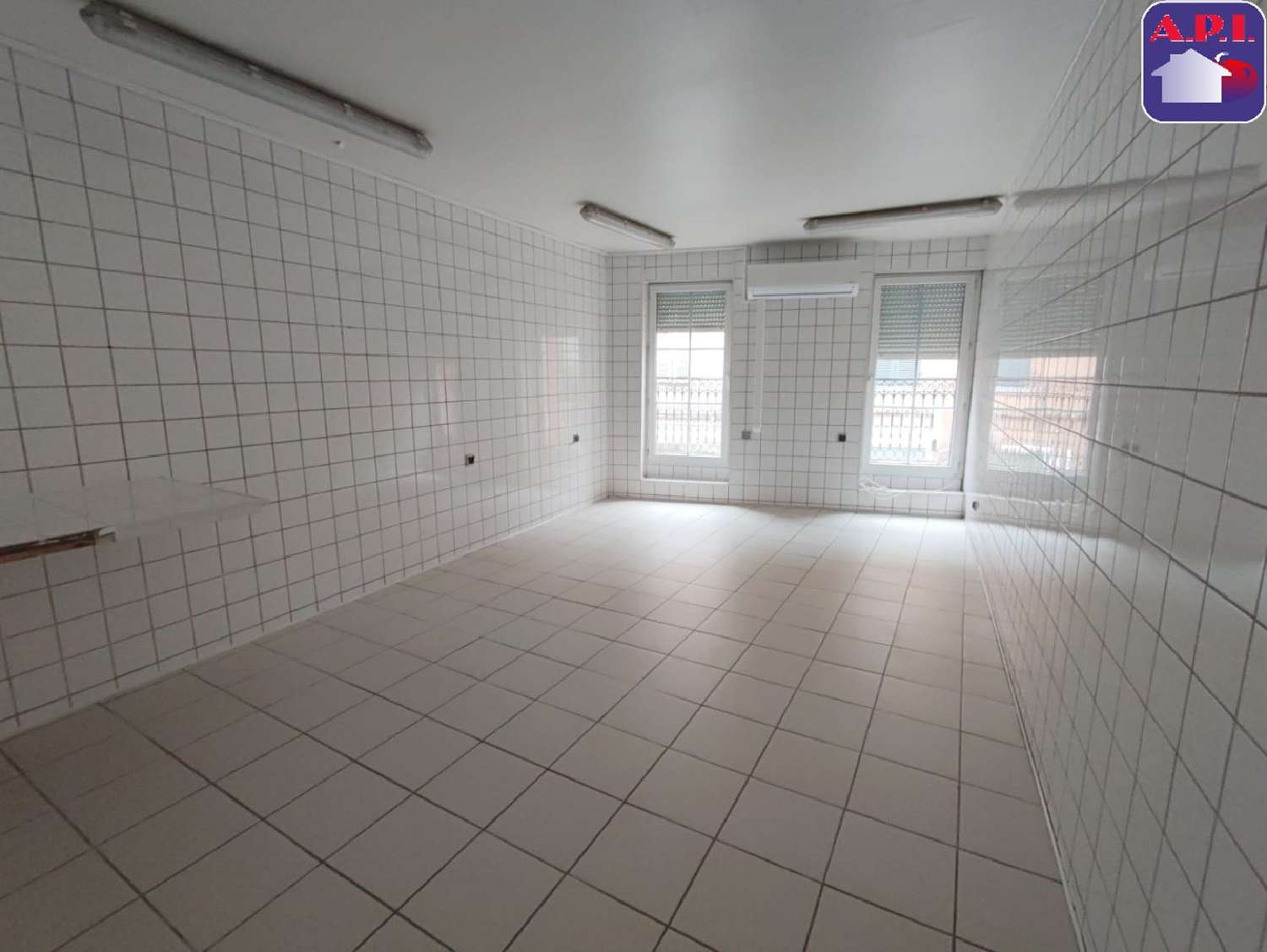 à vendre batiment Pamiers Ariège 4