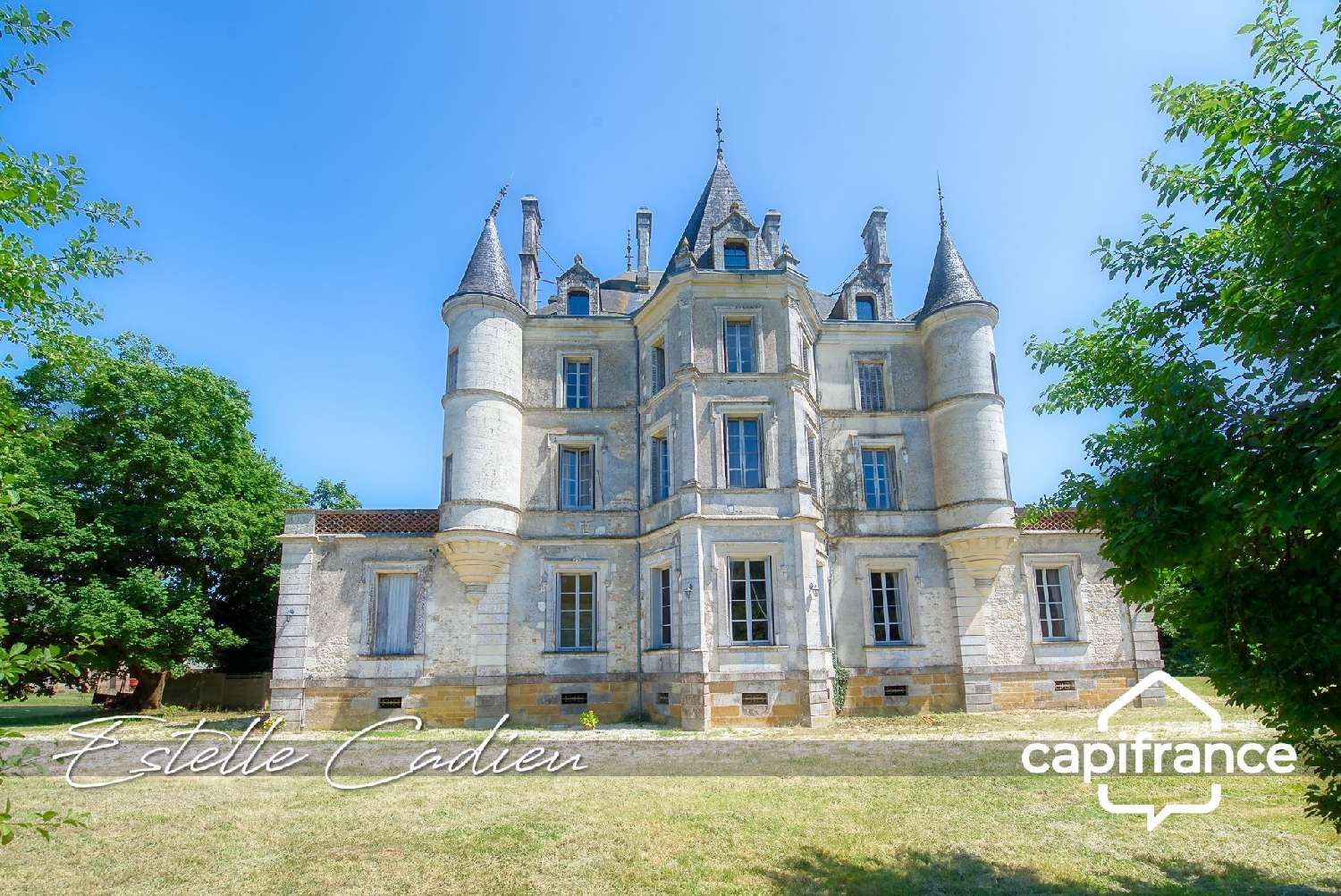 te koop kasteel Chantonnay Vendée 4