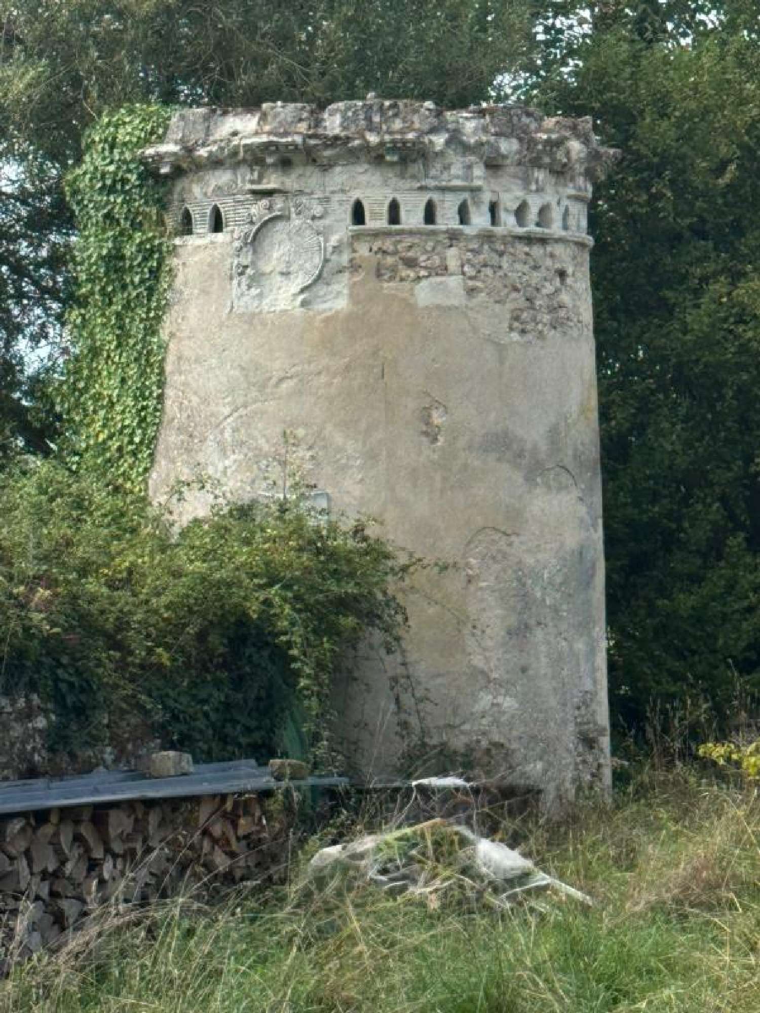 for sale castle Mansigné Sarthe 6