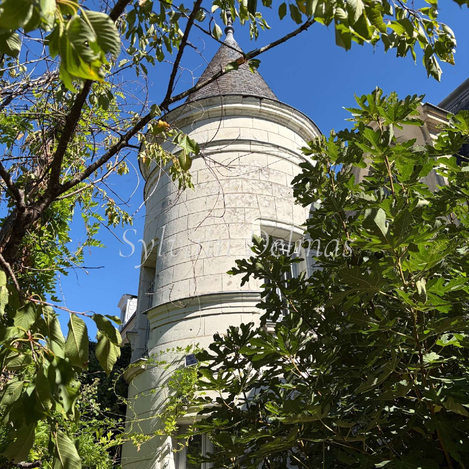  for sale castle Saint-Avertin Indre-et-Loire 4
