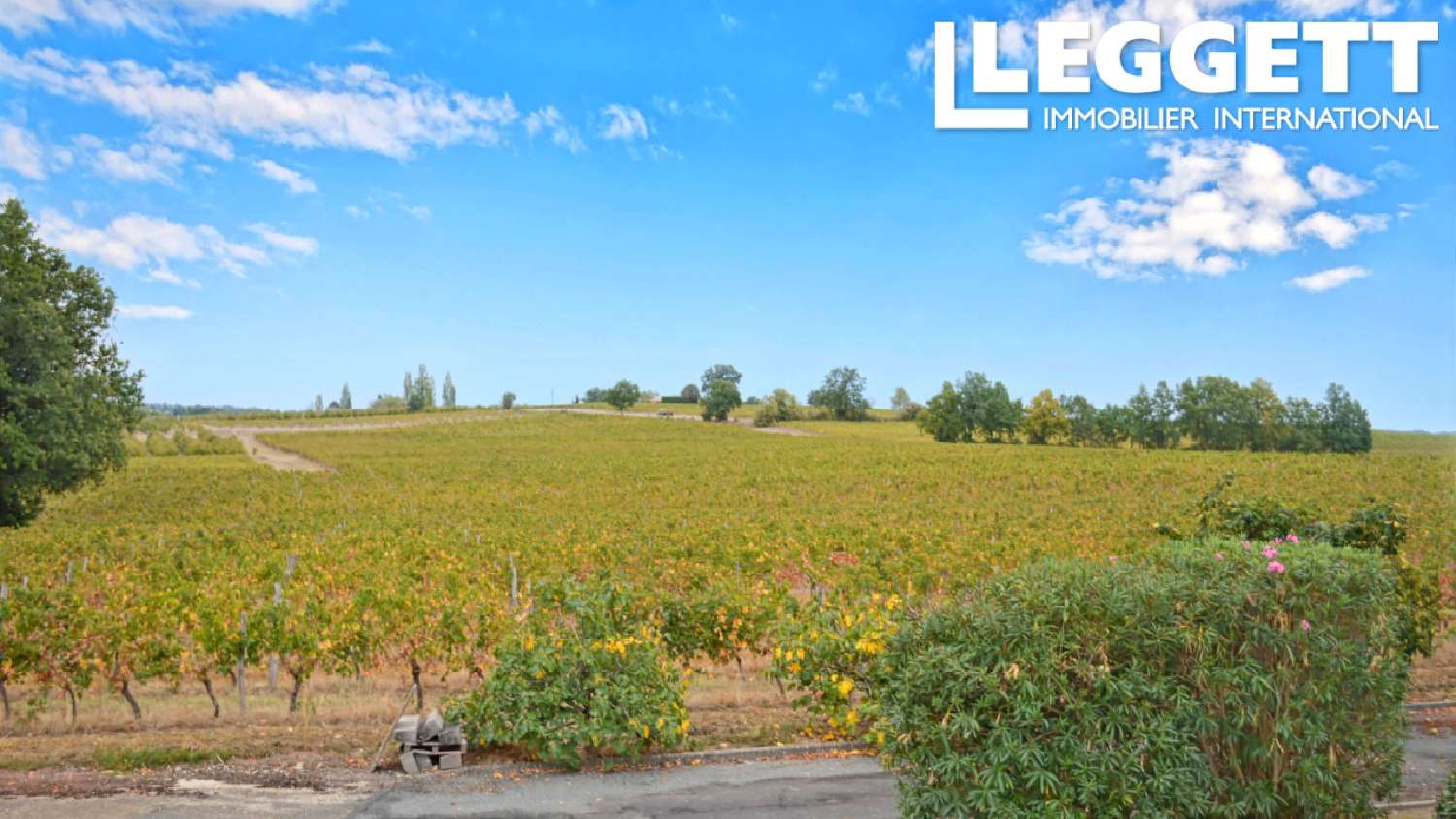 te koop bedrijfsruimte/ kantoor Duras Lot-et-Garonne 2