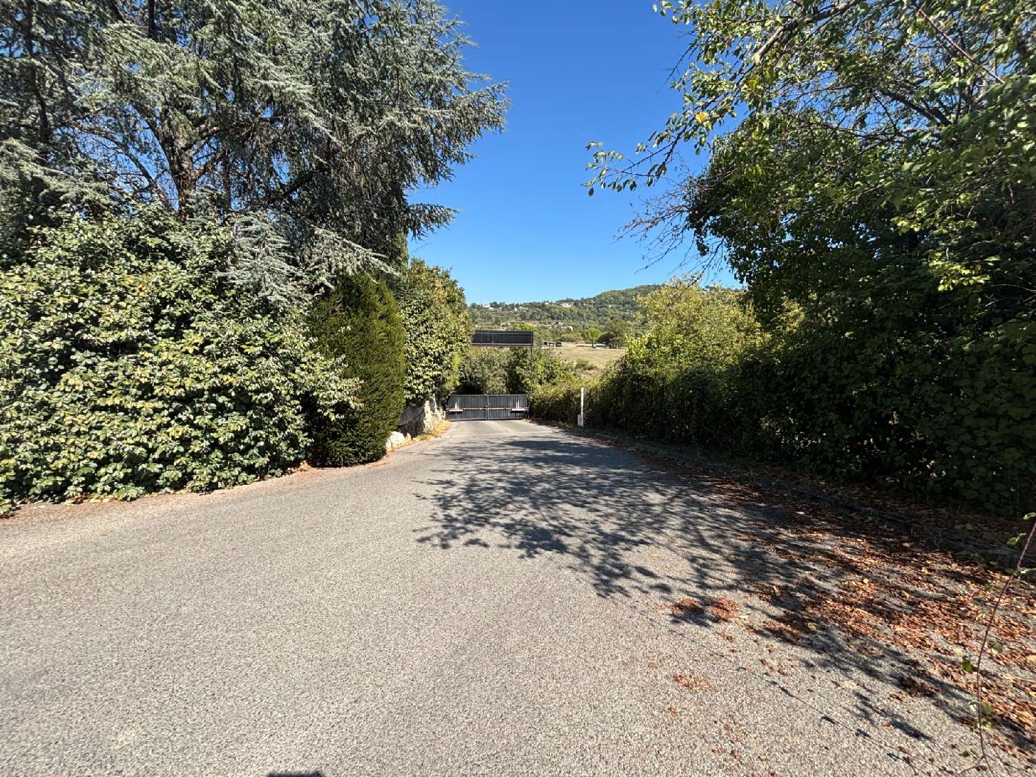  te koop bedrijfsruimte/ kantoor Grasse Alpes-Maritimes 7