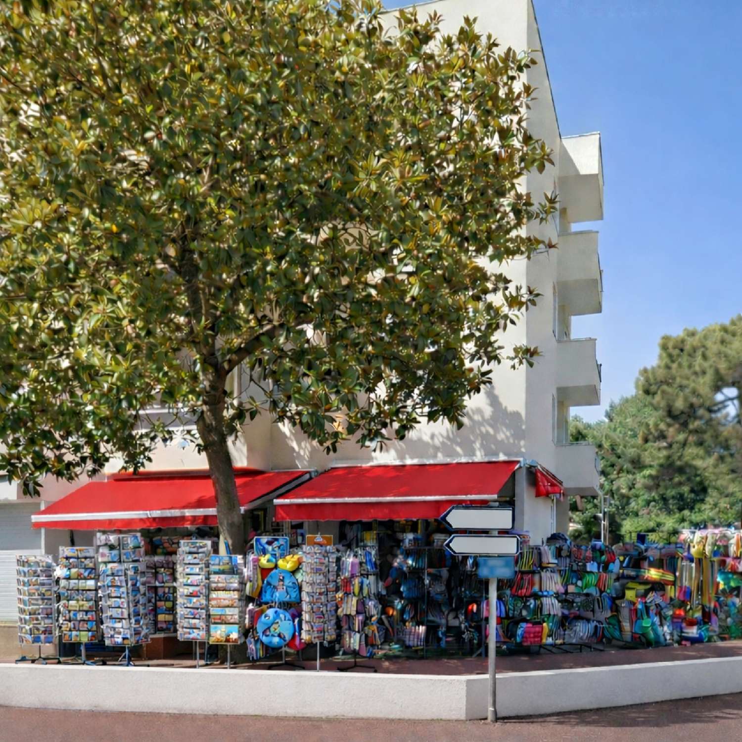  for sale commercial Les Mathes Charente-Maritime 3