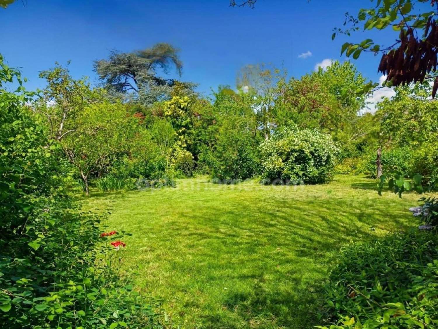 for sale estate Beauchamp Val-d'Oise 5