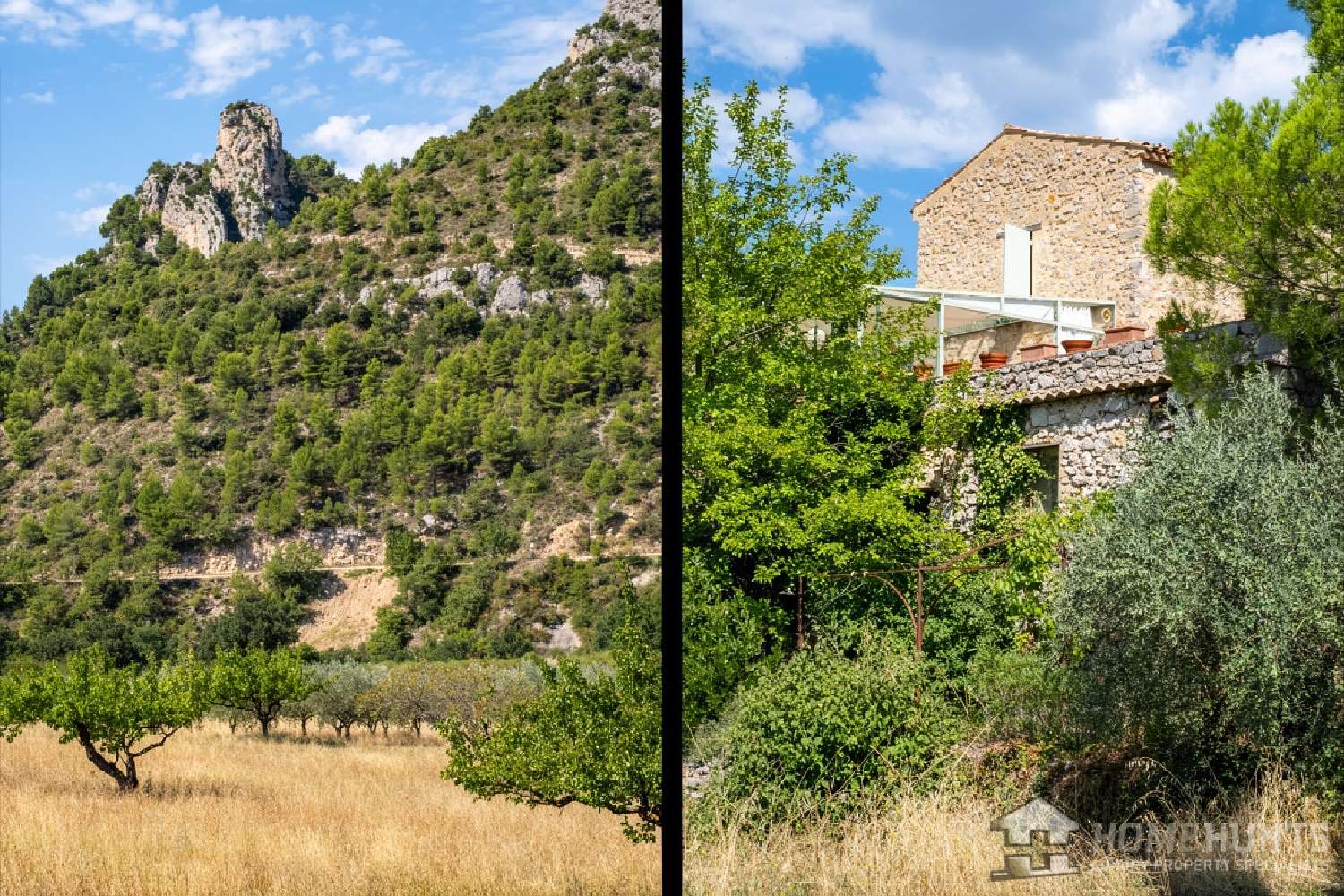 for sale estate Beauvoisin Gard 4