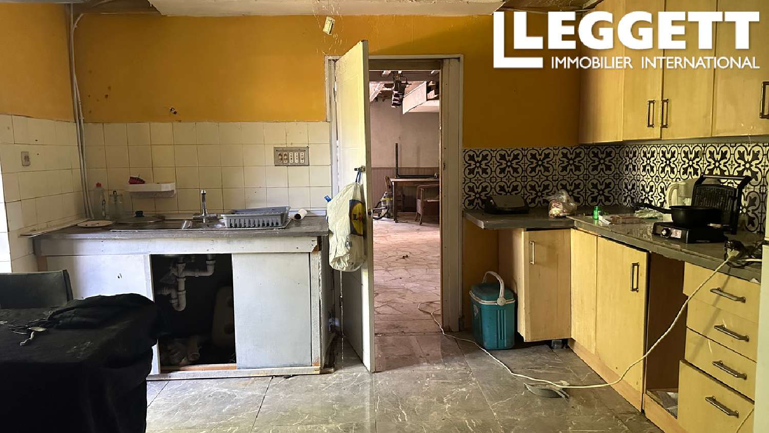 for sale estate Connezac Dordogne 6