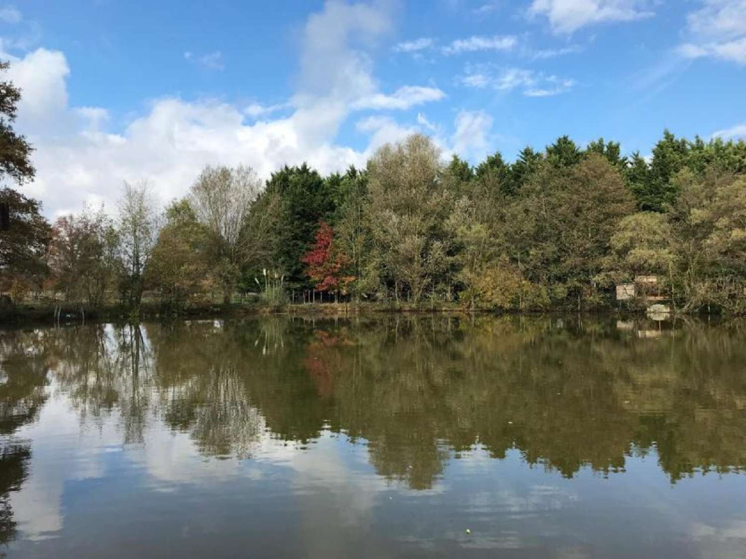 kaufen Landgut Dompierre-sur-Veyle Ain 3