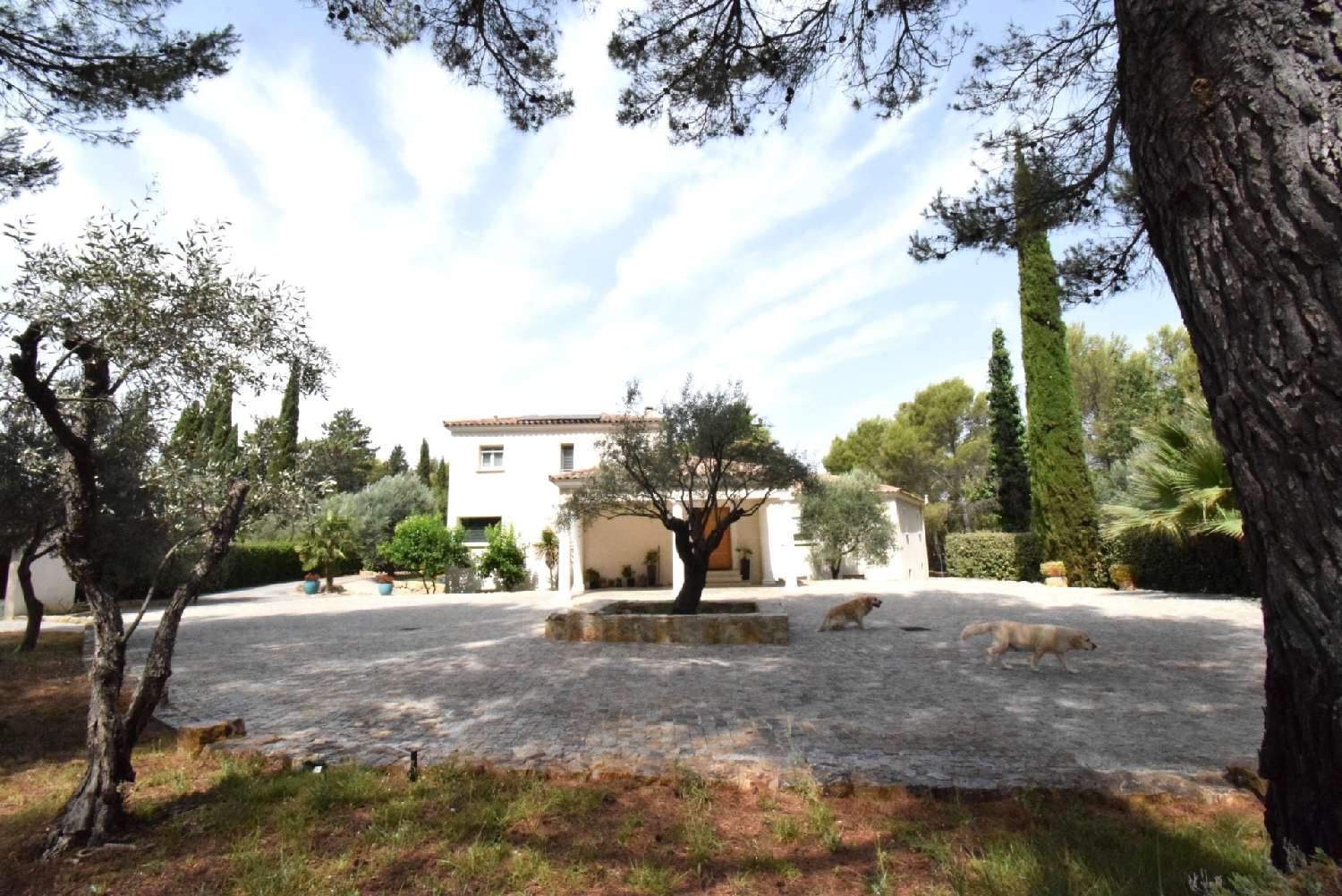 à vendre propriété Draguignan Var 3