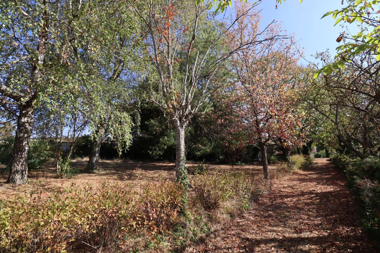  à vendre propriété Fontanès Loire 5