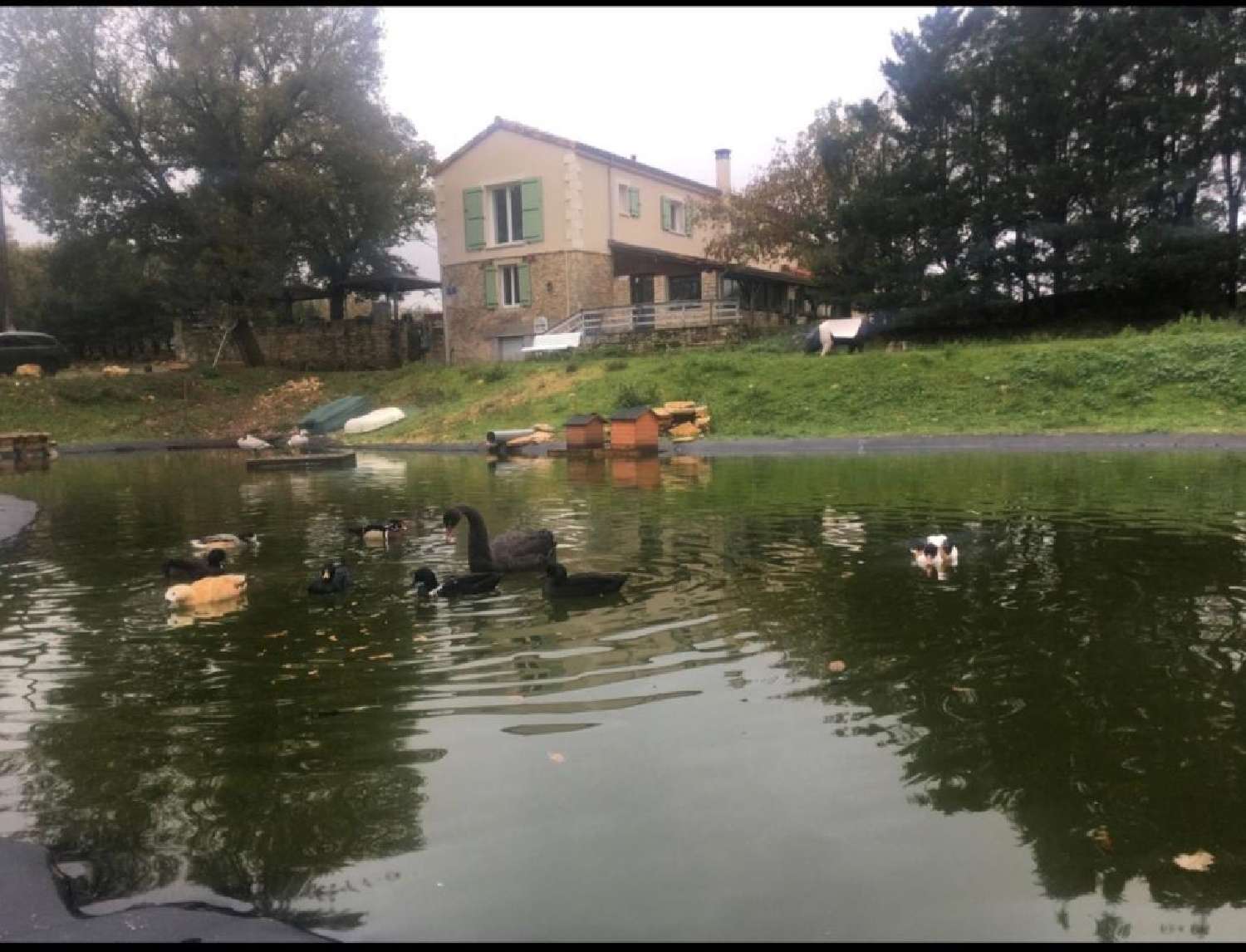  à vendre propriété Gabillou Dordogne 2