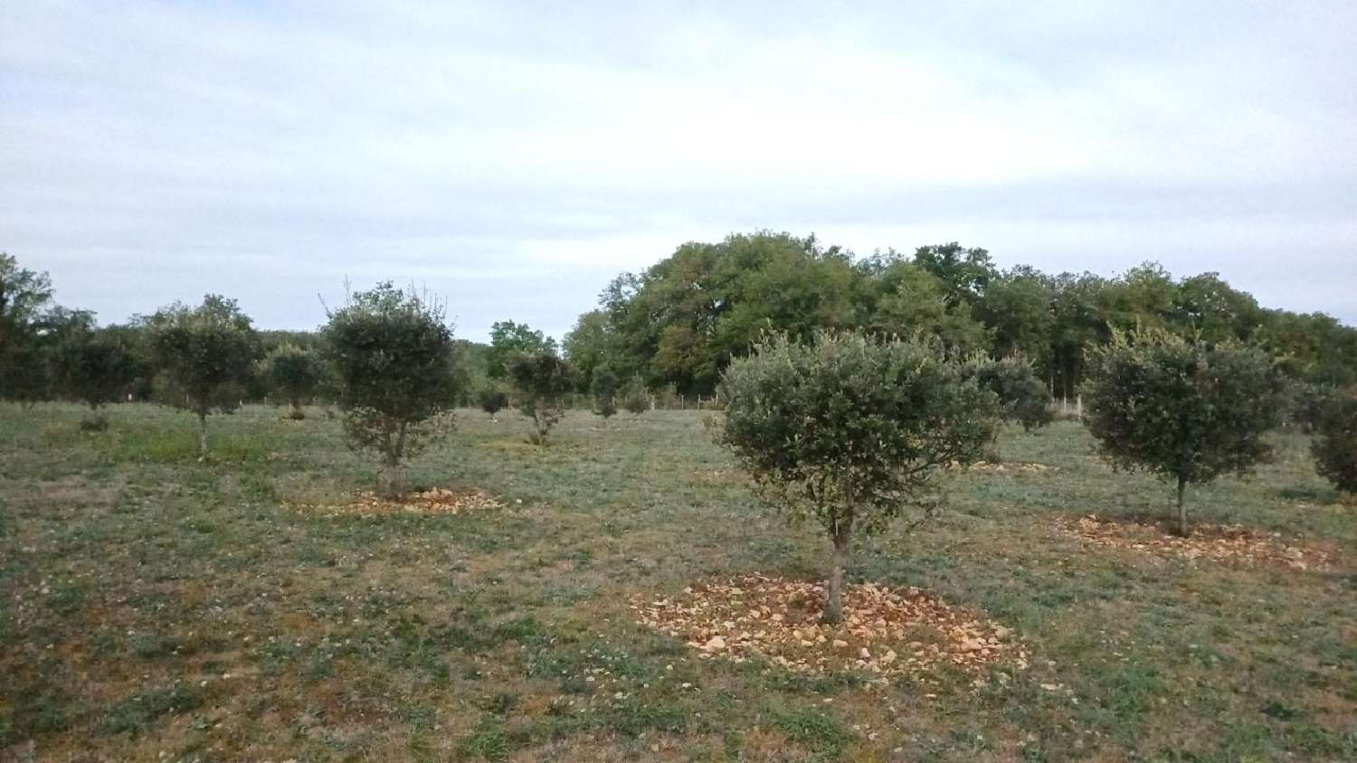  à vendre propriété Gabillou Dordogne 4
