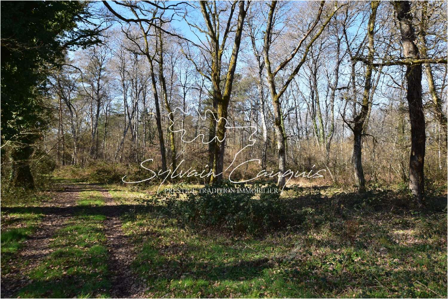 kaufen Landgut Lamotte-Beuvron Loir-et-Cher 2