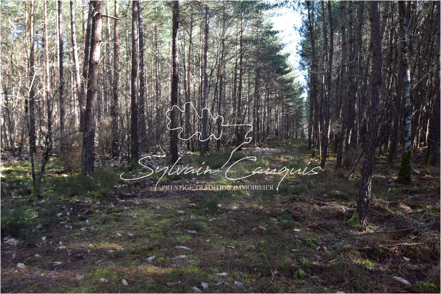 kaufen Landgut Lamotte-Beuvron Loir-et-Cher 5