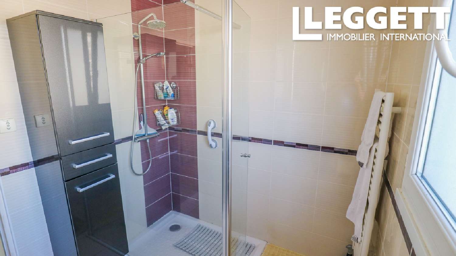 for sale estate Montmorillon Vienne 8