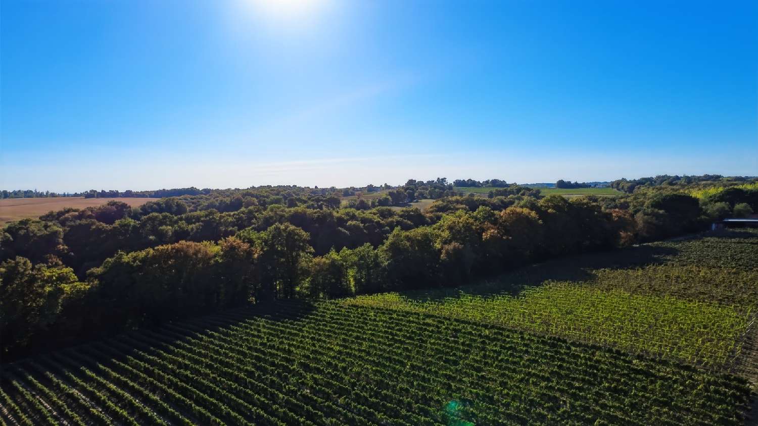  kaufen Landgut Parleboscq Landes 2