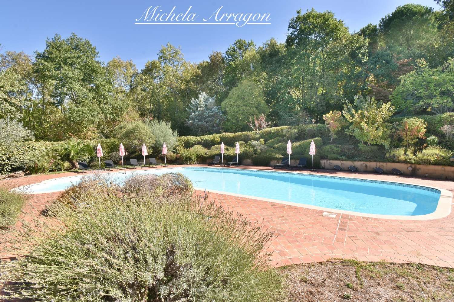  à vendre propriété Pinel-Hauterive Lot-et-Garonne 7