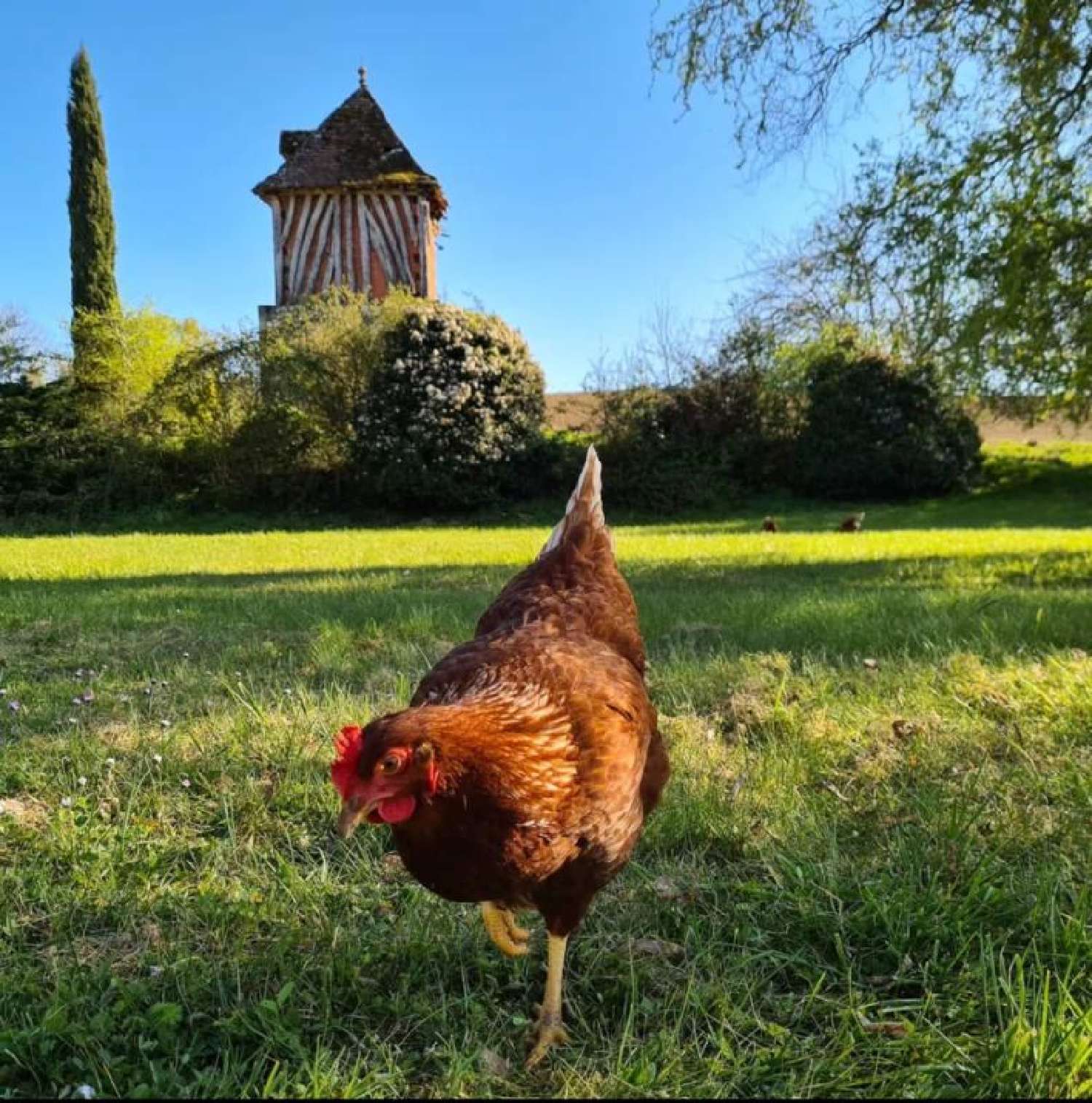 kaufen Landgut Pinel-Hauterive Lot-et-Garonne 1