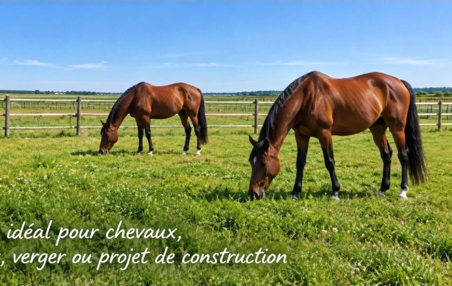 for sale estate Reims Marne 6