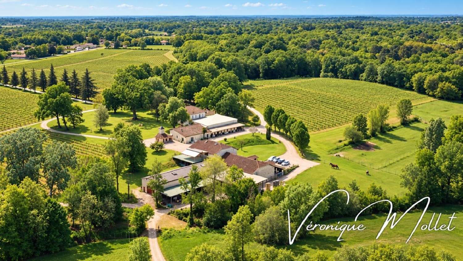  for sale estate Sadirac Gironde 1