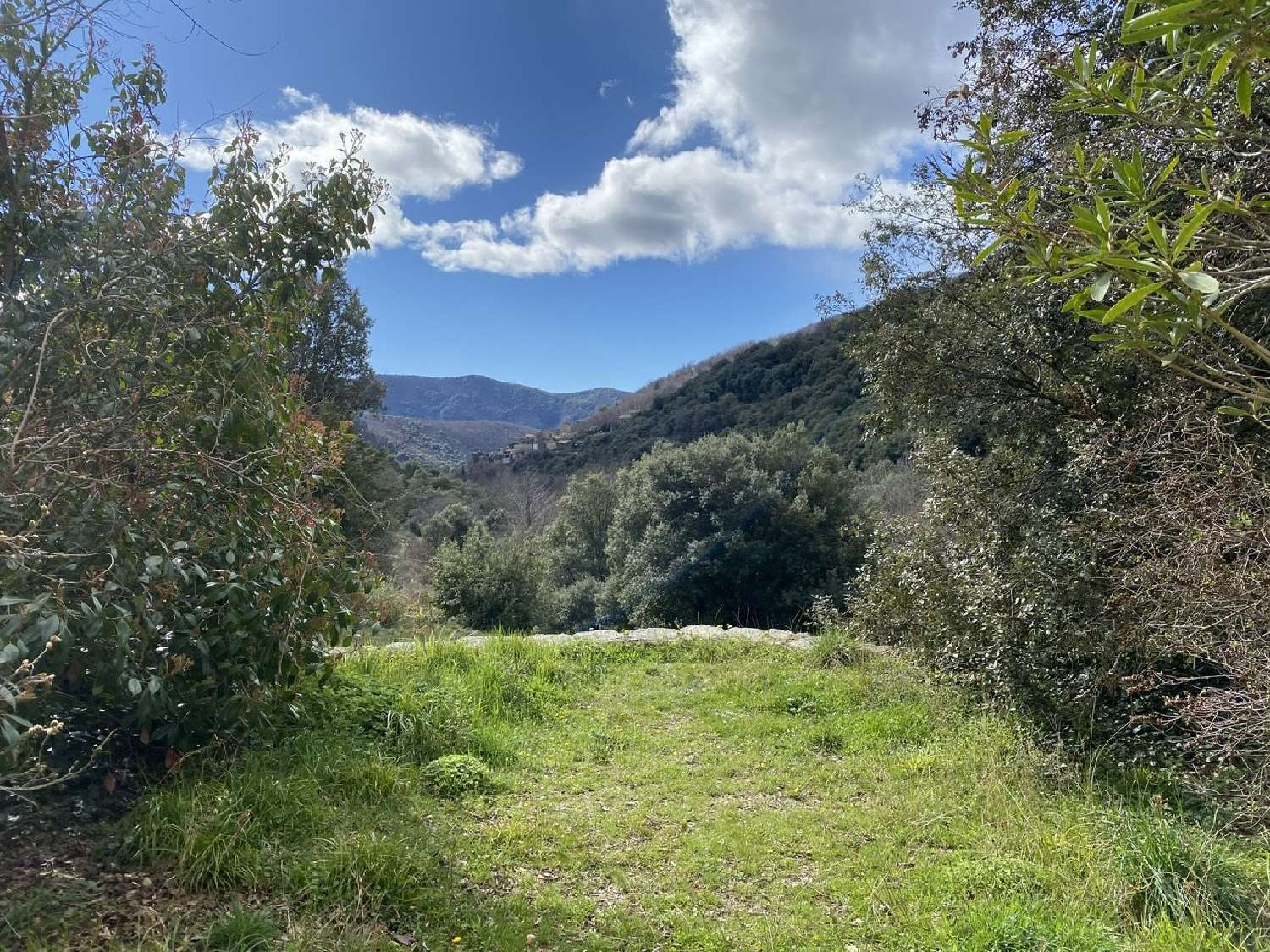  à vendre propriété Saint-Martial Gard 5