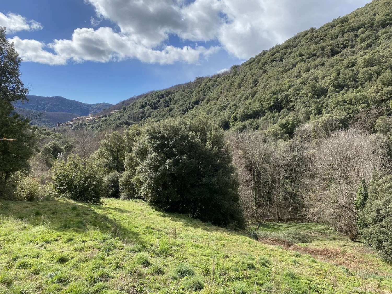  à vendre propriété Saint-Martial Gard 6