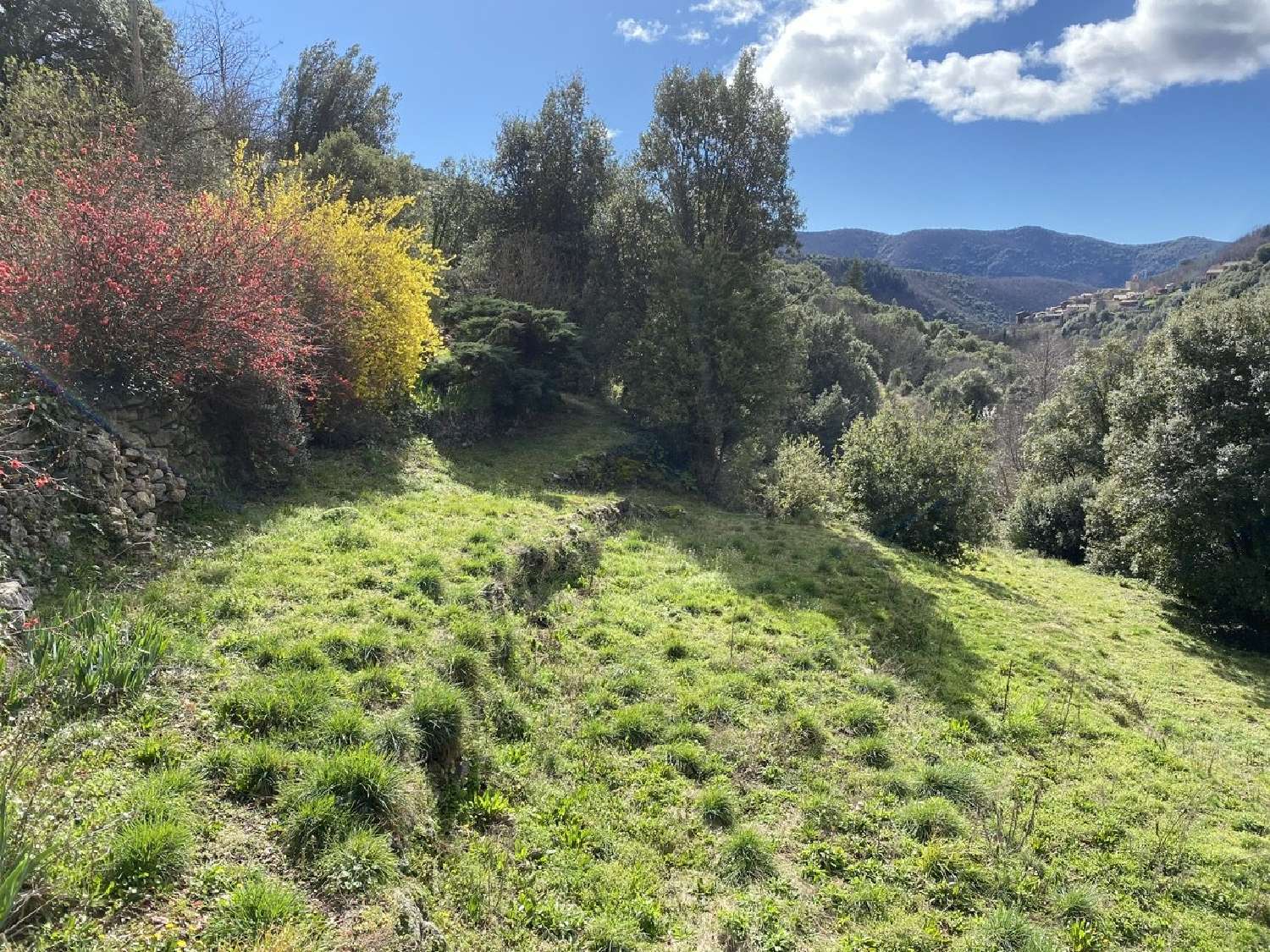  à vendre propriété Saint-Martial Gard 7