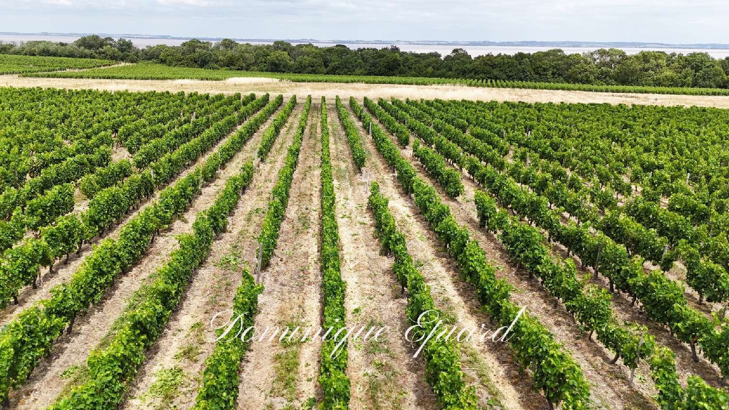  for sale estate Saint-Yzans-de-Médoc Gironde 6