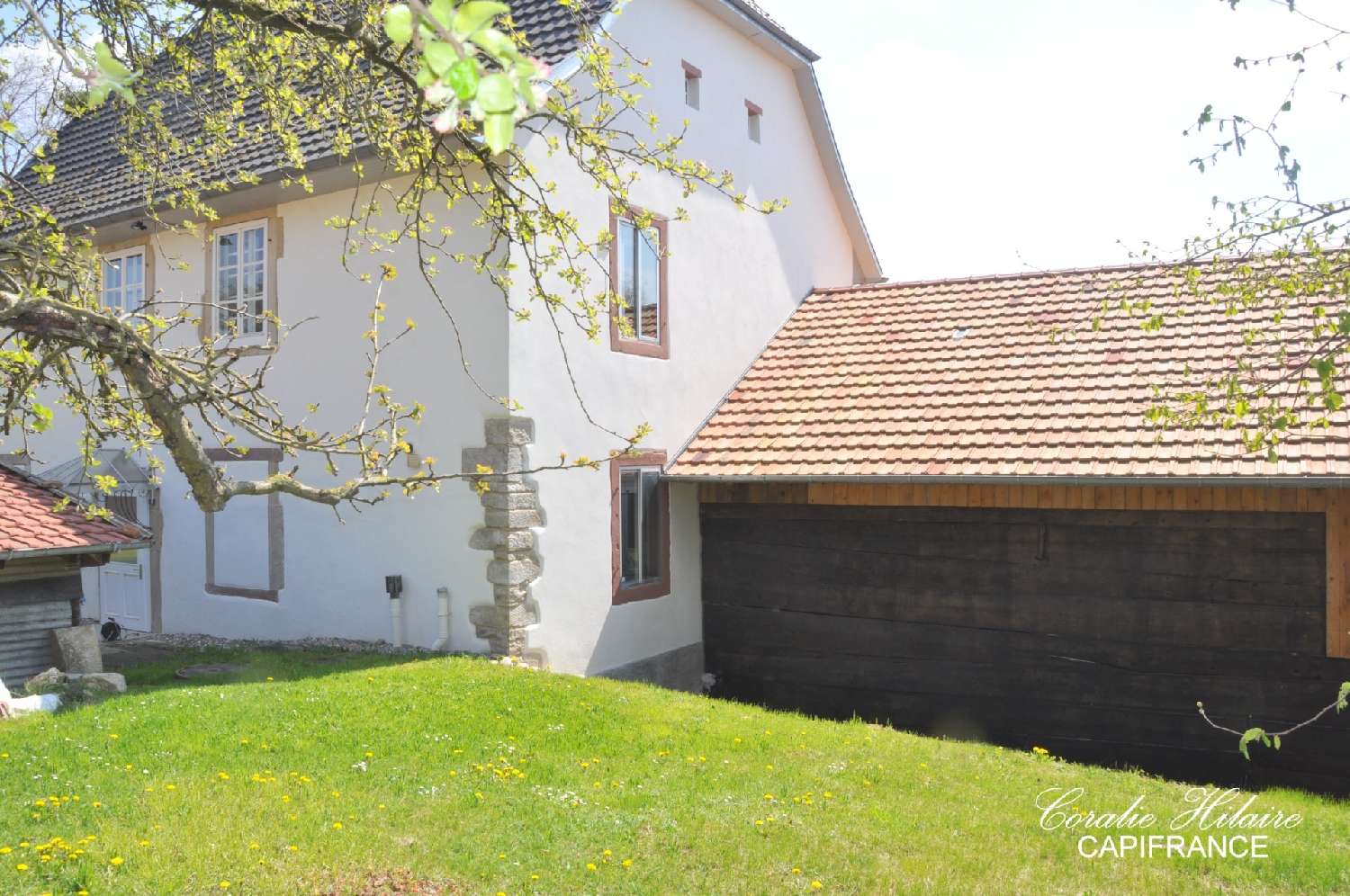 te koop landgoed Waldighofen Haut-Rhin 2