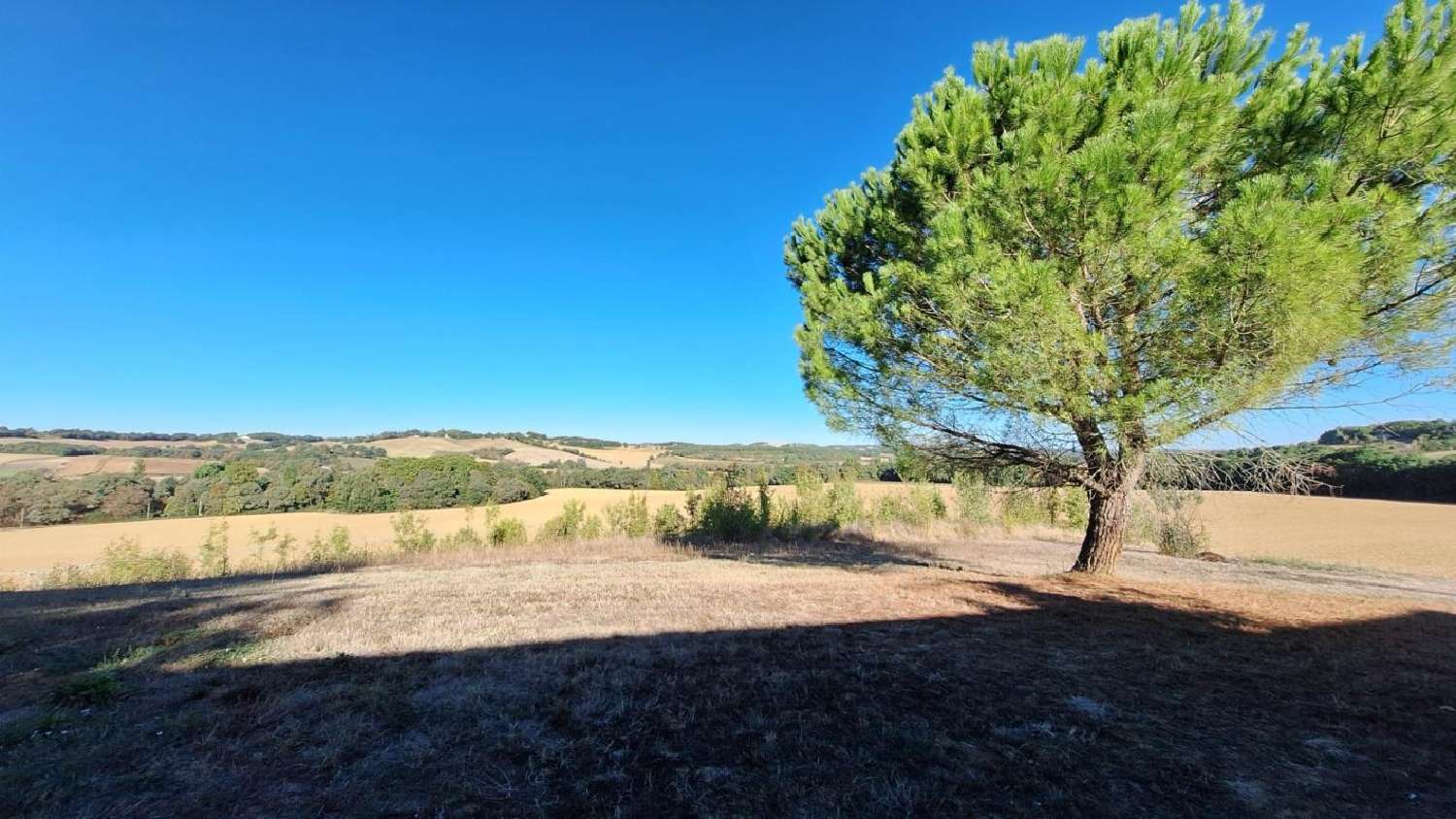 à vendre ferme Castéra-Verduzan Gers 2
