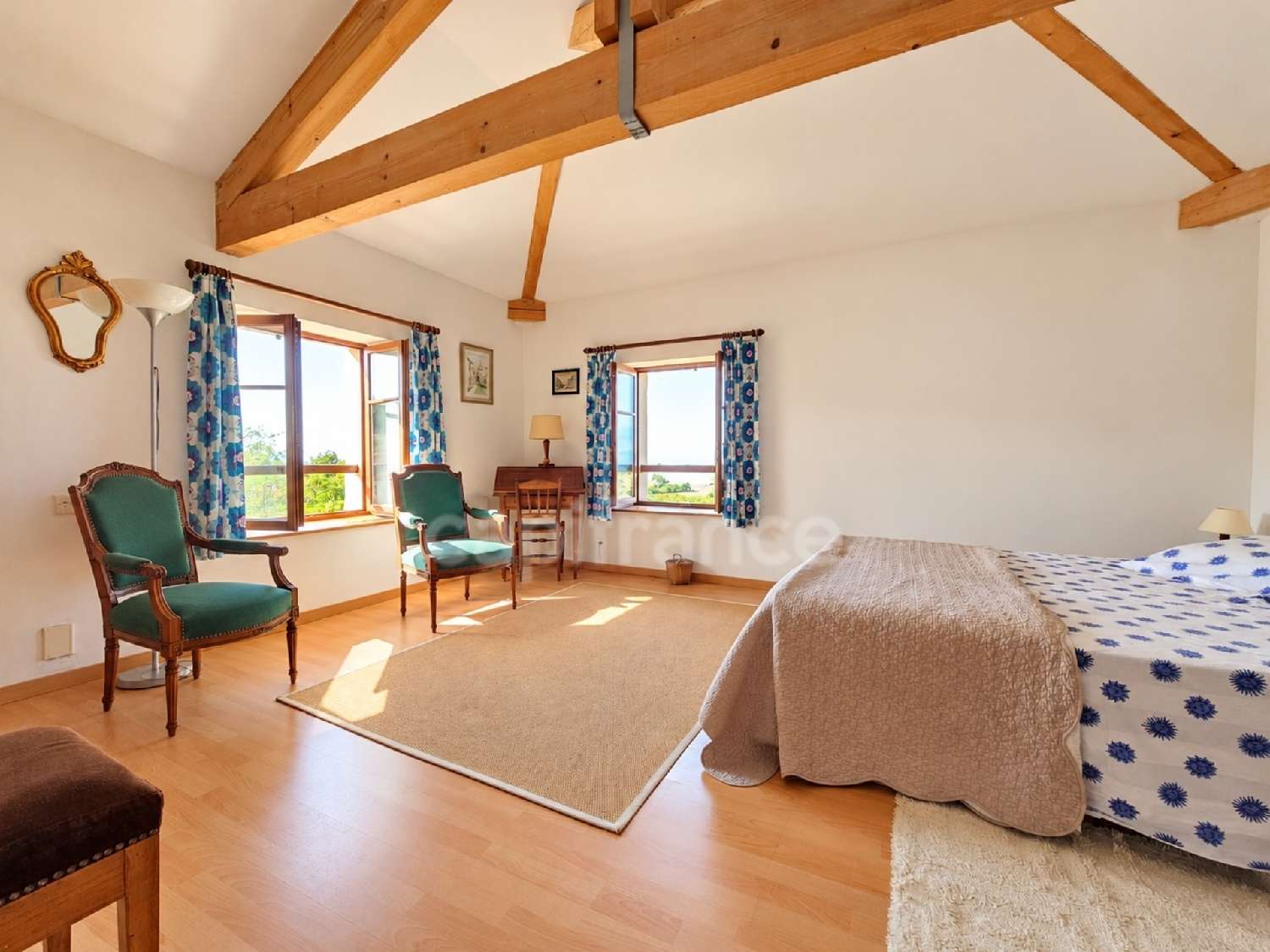 for sale farm Cottance Loire 8