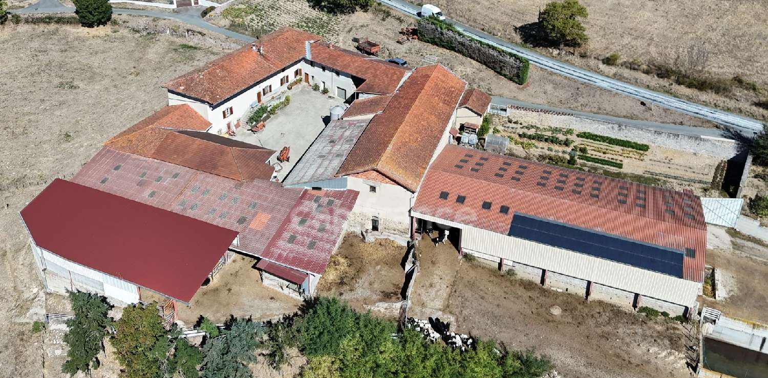  for sale farm Cottance Loire 1